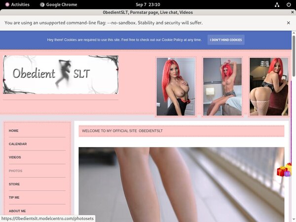 0bedientSLT Tgp