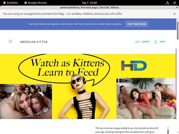 Americankitten.com Real Passwords