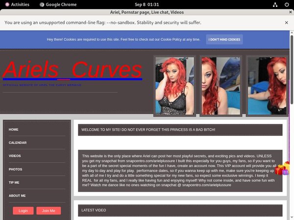 Ariel Free Galleries