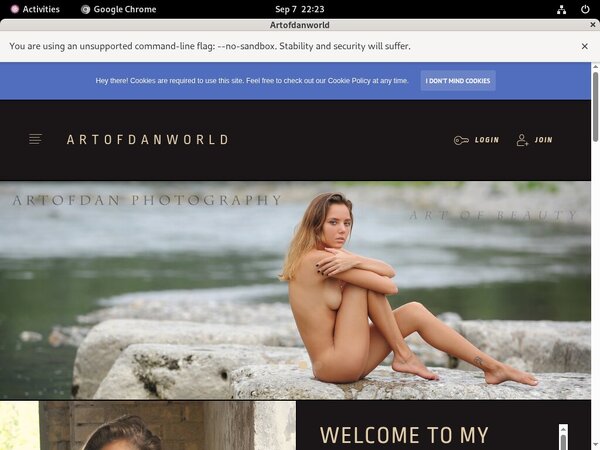 Artofdanworld Full Videos
