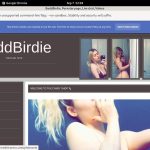 BaddBirdie Free Xxx