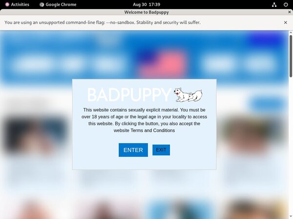 Badpuppy Discount Offers