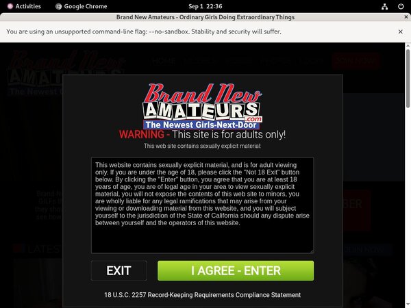 Best Brand New Amateurs