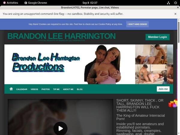 BrandonLH702 Discount Username