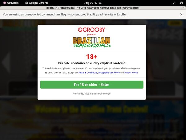 [Image: Brazilian-Transsexuals-Xvideos.jpg]