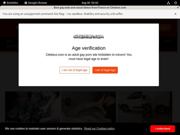 Citebeur Passwords 2018
