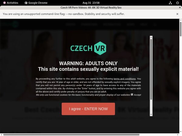 Czech VR Discount Acc