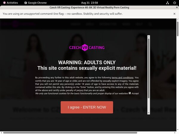Czechvrcasting Paypal Payment