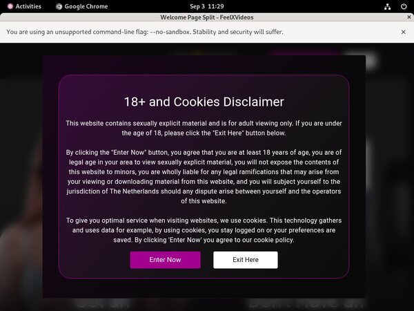 Feel X Videos Account Information