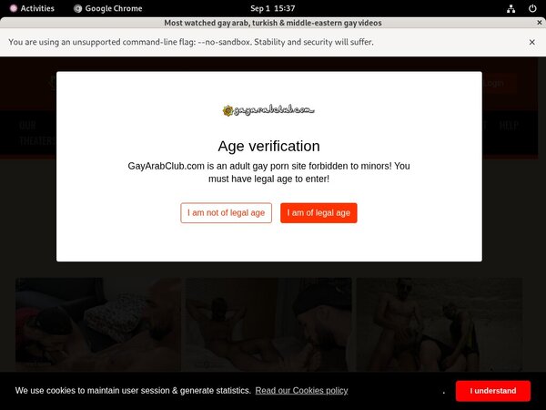 Fotos De Gayarabclub.com