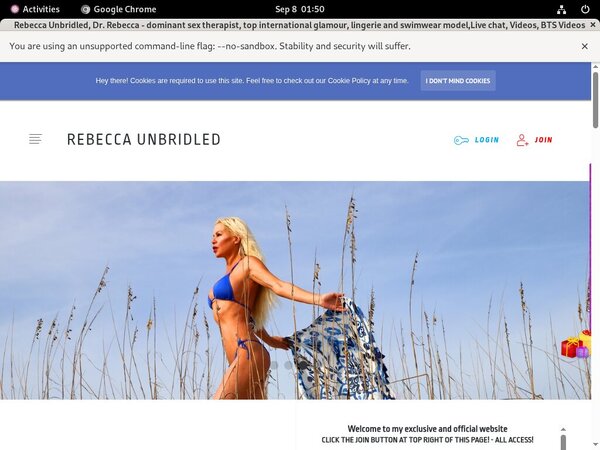 Free Account Of Rebecca  Unbridled