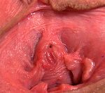Gape My Pussy With Discount