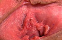 Gape My Pussy With Discount s0