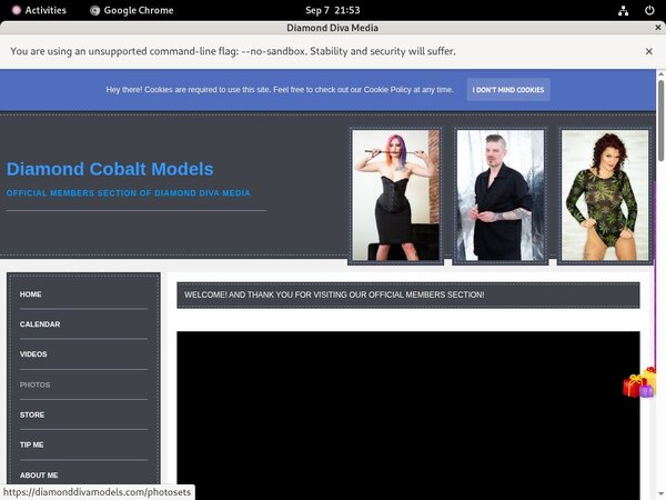 Get Diamonddivamodels.com Discount Link