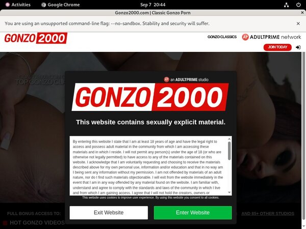 Gonzo 2000 With Sliiing