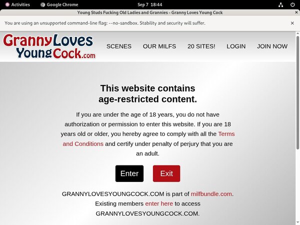 Granny Loves Young Cock Free Trial Price