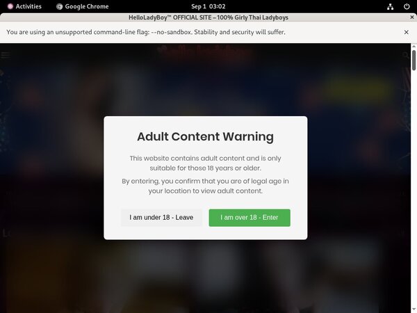 Hello Ladyboy Site Passwords
