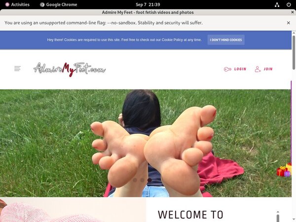 How Much Does Admiremyfeet.com Cost