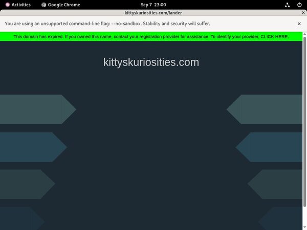 Kitty's Kuriosities 