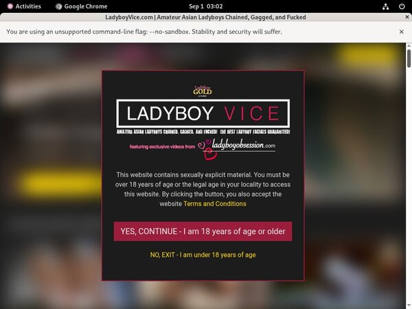 Ladyboy Vice Membership Free