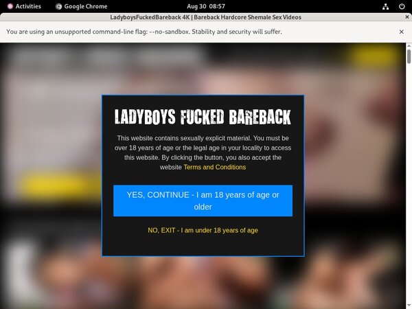 Ladyboys Fucked Bareback Recent