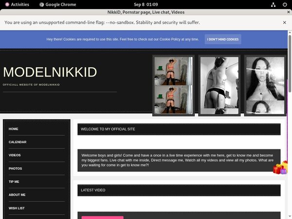 NikkiD Site