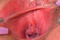 Paypal Gape My Pussy Sign Up s1