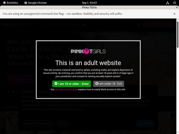 Pinkotgirls.com Desktop