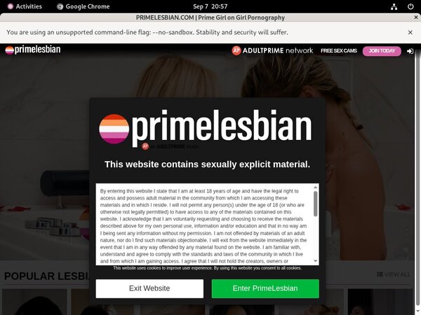 Primelesbian.com Access