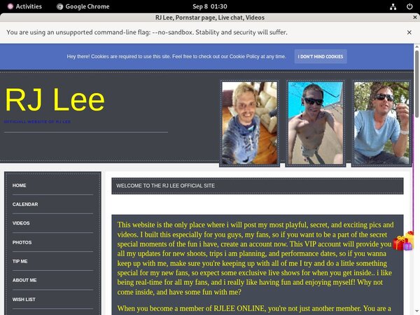 RJLee Webcam