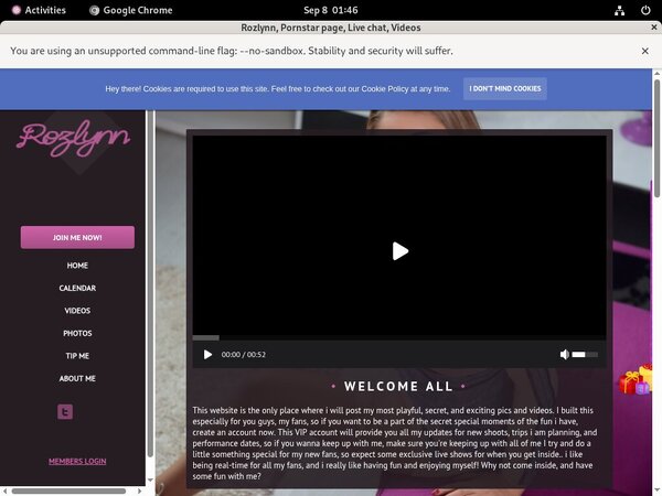 Rozlynn Clips4sale