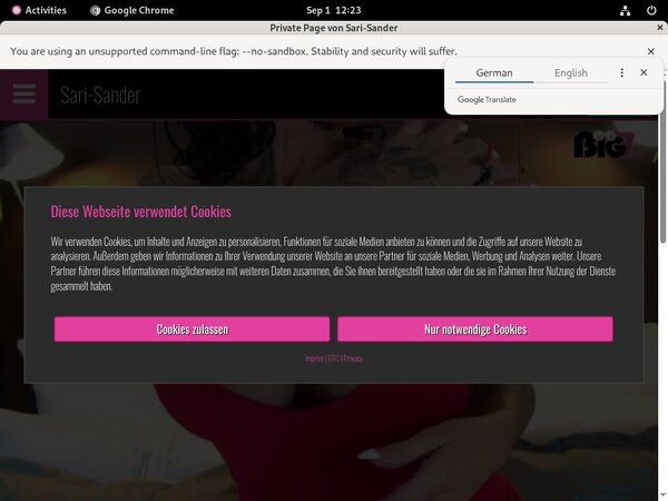 SariSander Account Info