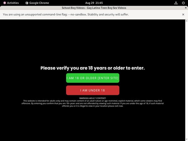 Schoolboyvideos Sex Tube