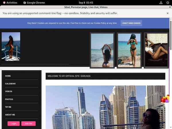 Sibel Password Username