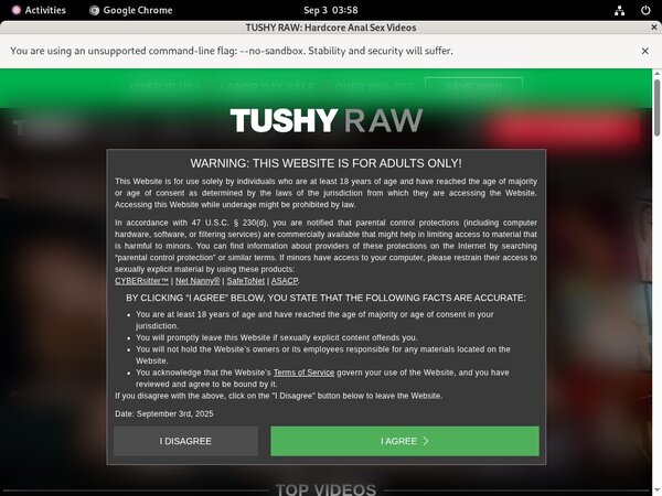 Tushyraw.com Latest Passwords