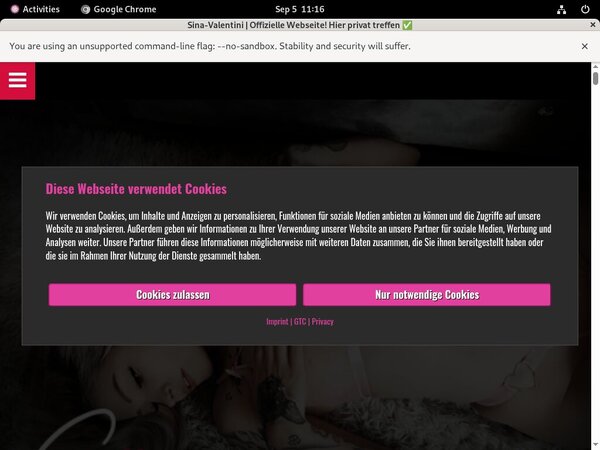 Valentini Sina Login Account