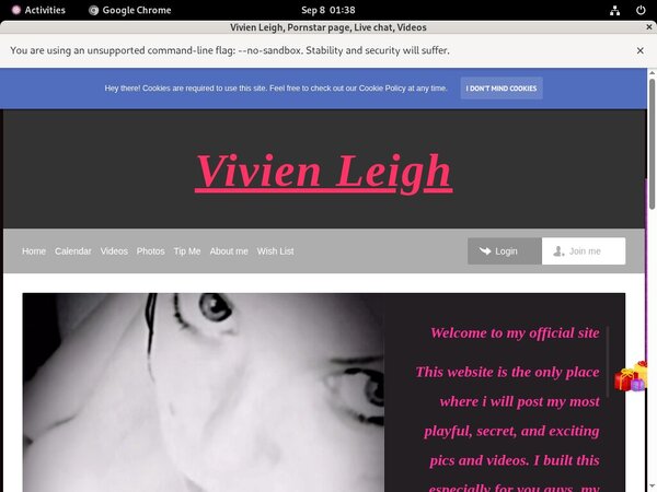 Vivien Leigh Website