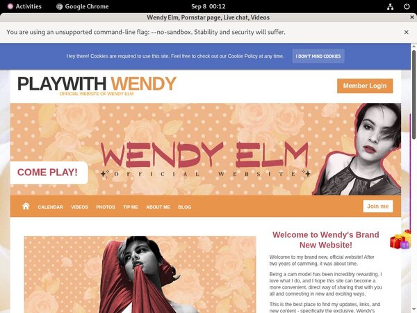 Wendy Elm Password Dump