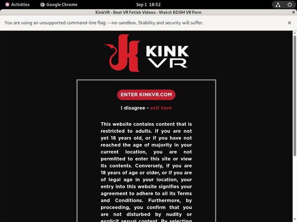 Xxx Kinkvr.com