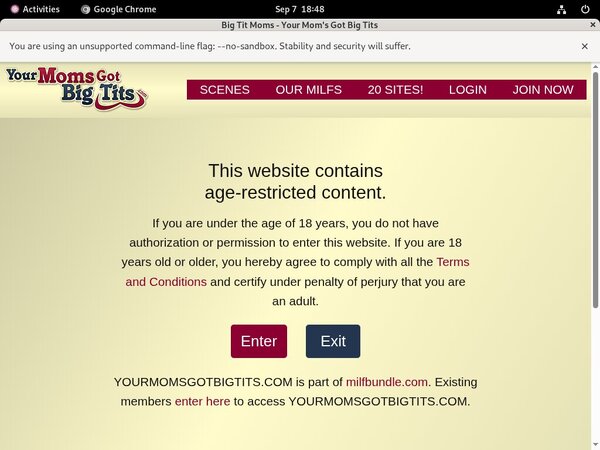 Yourmomsgotbigtits.com Purchase
