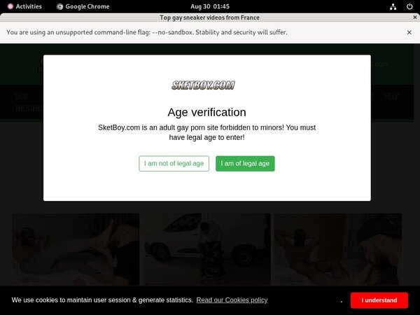 Get Sket Boy Promo Code